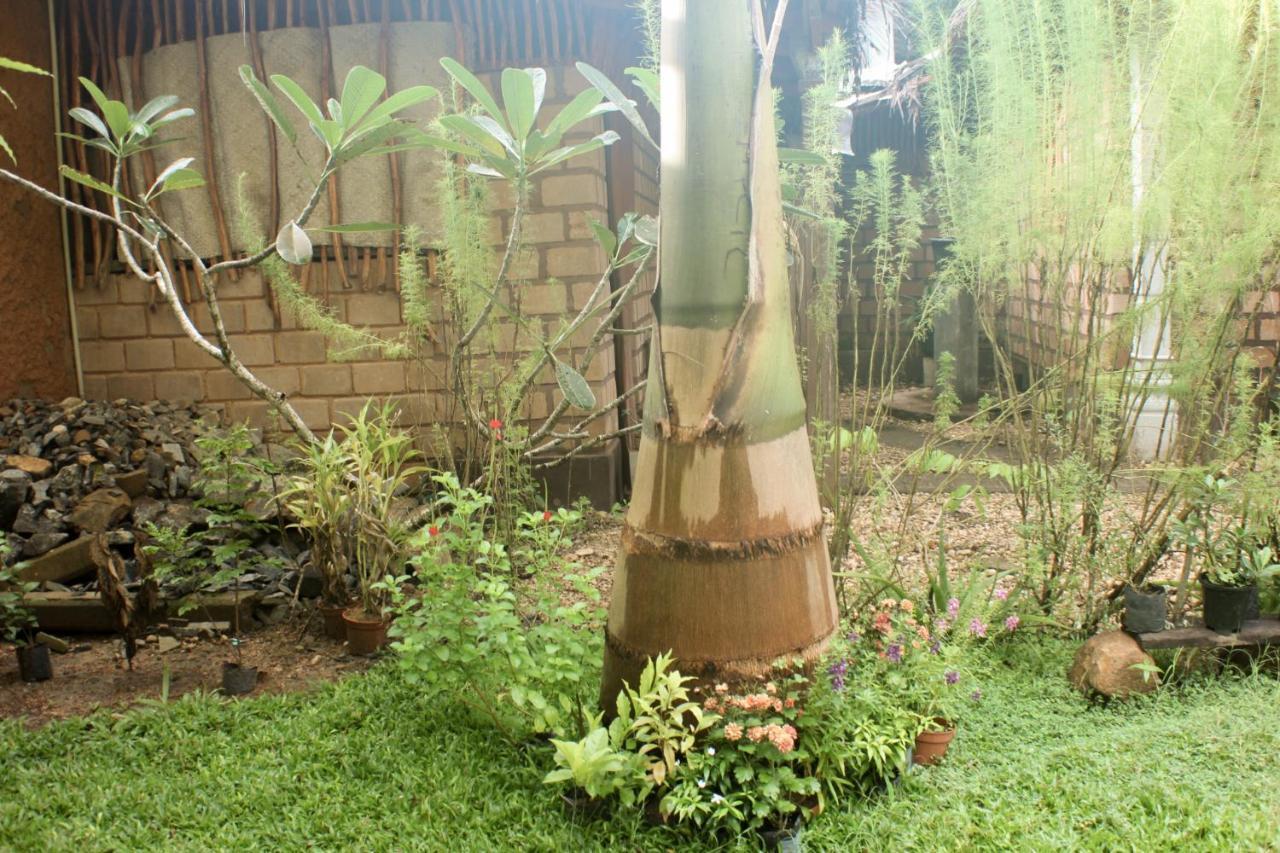 The Mango Leaf Hotel Matara Exterior photo